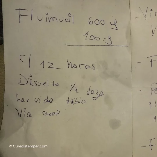 Toffy una semana después, con los ojitos llenos de lagañas y casi cerrados, y los síntomas del distemper ya evidentes.